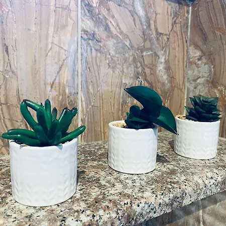 בית נופש василеви