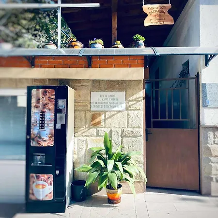 василеви בית נופש