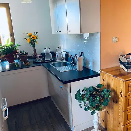 василеви בראטיסגובו