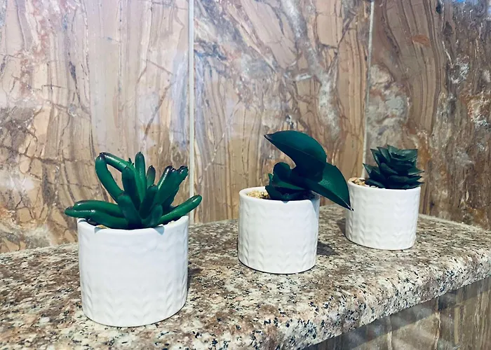 بيت للعطل василеви