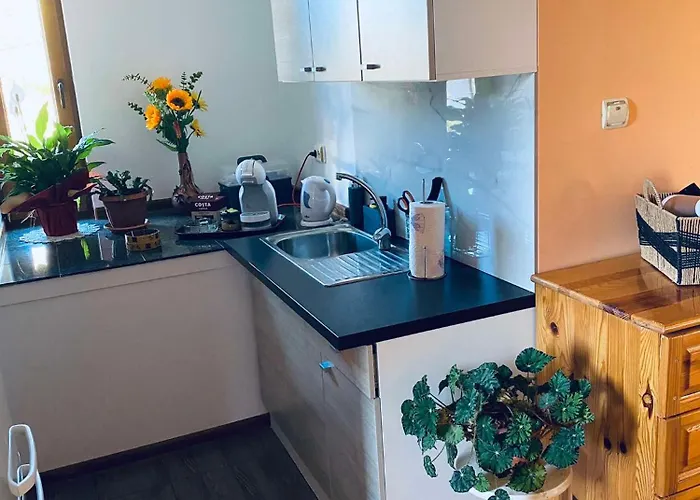 василеви Bratsigovo